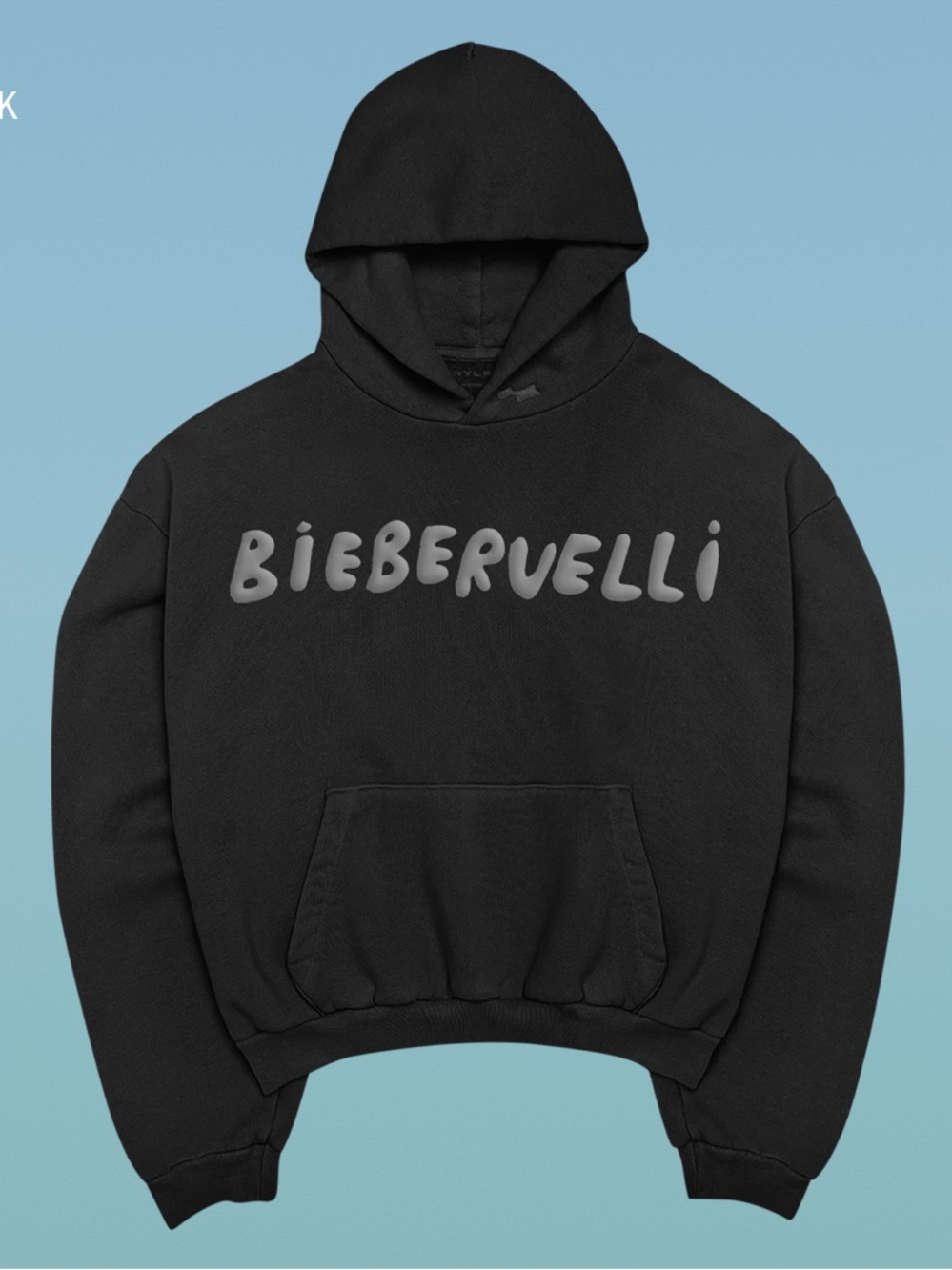 Skylrk BIEBERVELLI Hoodie (Medium)